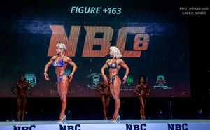 FIGURE +163